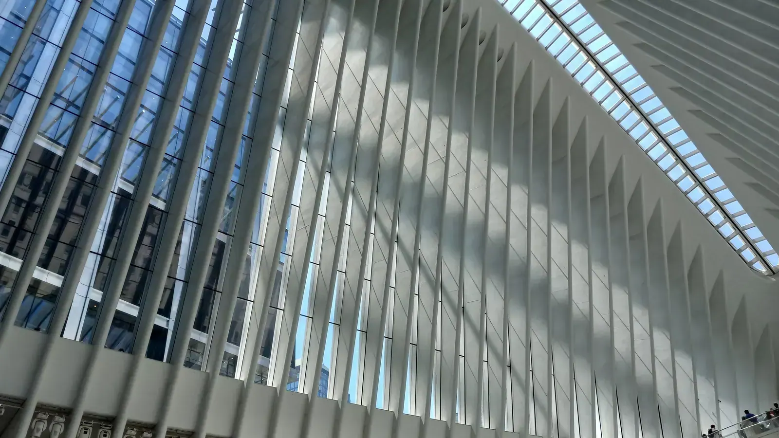 The ribbed white interior vault of the Oculus transit hall, its thin curved ribs converging toward a long skylight.